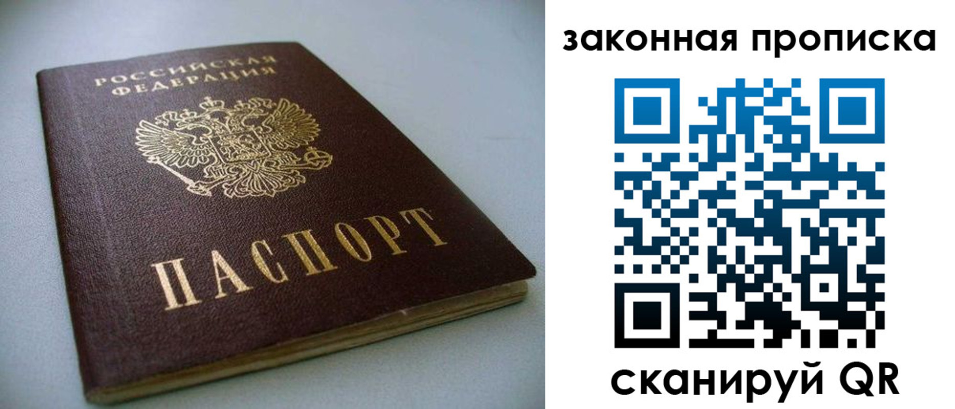 прописка поиск в Брянске
